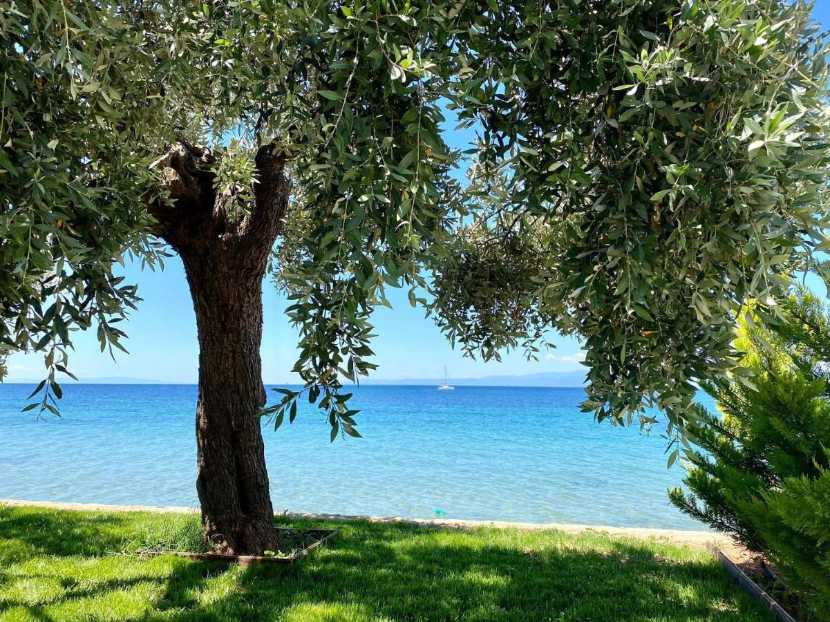 Manolis Studios Thassos Skala Kallirakhis Luaran gambar